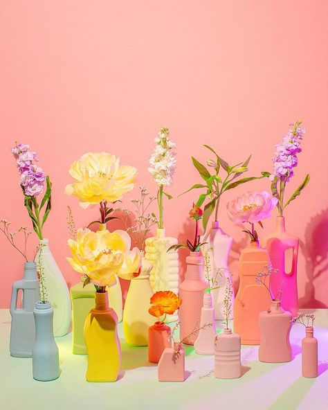 Colourful content creation for Foekje Fleur ceramic vases. Styled product photography by Marianne Taylor. Product Photography With Flowers, Flower Product Photography, Coloured Vases, Cake Shoot, Flowers Photoshoot, Stills Photography, Rainbow Colour, Colored Vases, Counter Culture