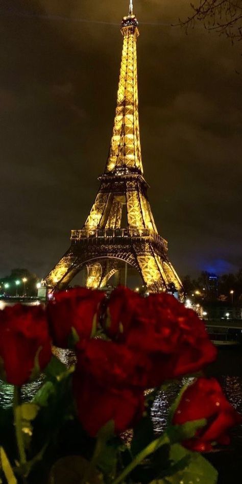 Eiffel Tower At Night, The Eiffel Tower, At Night, Red Roses, Eiffel Tower, Ghost, Tower, Roses, Paris