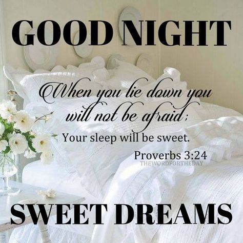 Good Night - Sweet Dreams Sweet Sleep Scripture, Proverbs 3:24 Sleep, Bible Verse For Sleep, Night Bible Verse, Sleep Bible Verses, Sleep Prayers, Good Night Bible Verse, Faith Declarations, Insomnia Quotes