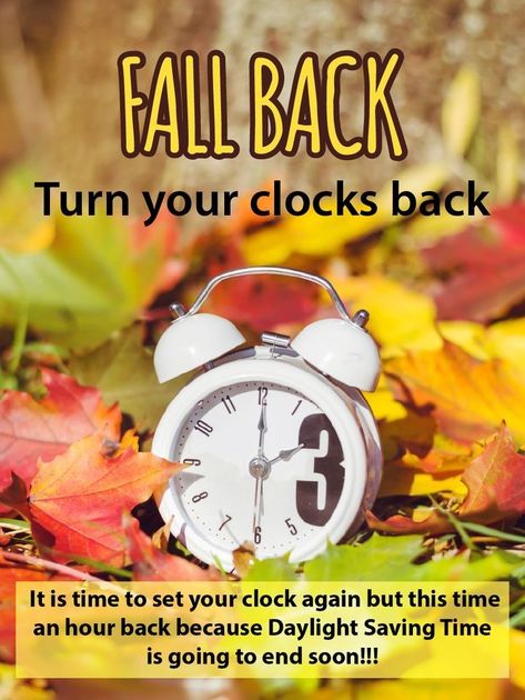 Daylight Savings Fall Back, Fall Back Time, Daylight Saving Time Ends, Tweety Bird Quotes, Clocks Go Back, Daylight Saving Time, Daylight Saving, Clocks Back, Bird Quotes