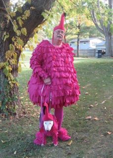 Pink flamingo!! Lol Flamingo Suit, Dog Costume Ideas, Flamingo Halloween, Costume Ideas For Halloween, Flamingo Costume, Flamingo Decor, Me And My Dog, Poor Dog, Flamingo Christmas