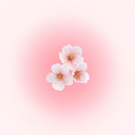 Pink Flowers Widget, Aesthetic Pastel Widgets, Unusual Backgrounds, Health Widget, Pink Widgets Aesthetic, Cute Pink Widgets, Widgets Background, Flowers Widget, Spring Icons