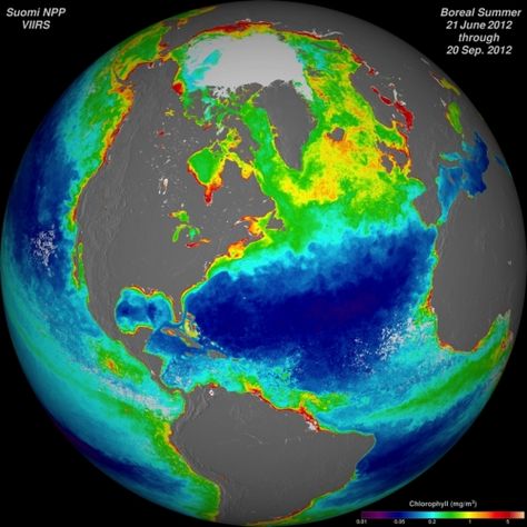 Panel Warns of ‘Catastrophic’ Gap in Weather Satellite Data - Unless it acts quickly, the U.S. faces the likelihood of a "catastrophic" reduction in weather and climate data starting in 2016, resulting in less reliable weather and climate forecasts, a federally-commissioned review panel said on Thursday. Weather Satellite, Science Articles, Weather And Climate, Meteorology, Earth Science, Science And Nature, Geography, Work On, Gap