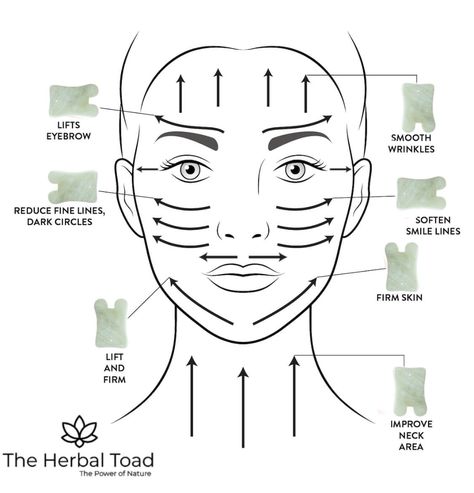 Benefits and Technique for Gua Sha Facial - The Herbal Toad Gus Sha, Use Gua Sha, Face Massages, Skin Therapist, Gua Sha Massage, Gua Sha Facial, Gua Sha Tools, Jade Roller, Face Yoga