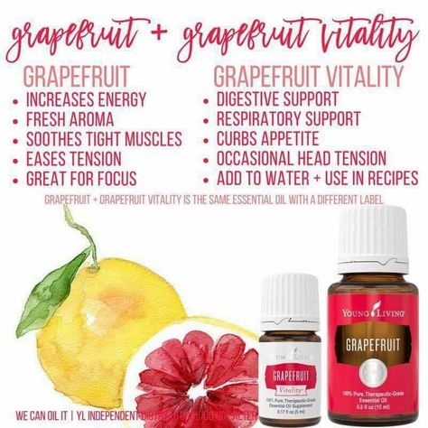 Benefits of Grapefruit oil! Grapefruit Oil Benefits, Grapefruit Essential Oil Young Living, Diy Skin Care Products, Young Living Grapefruit, Wheatgrass Benefits, Health Benefits Of Grapefruit, Grapefruit Benefits, Yogurt Diet, Curb Appetite