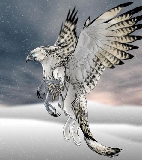 Snow Griffin Gryphon Art, Mystical Animals, Mythical Animal, Fantasy Beasts, Legendary Creature, An Eagle, Fantasy Creatures Art, Mythical Creatures Art, Mythological Creatures