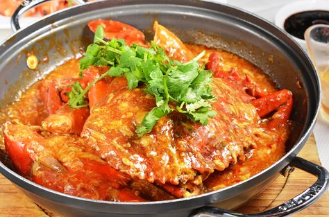 Ever wondered how to cook Singapore Chilli Crab? Here I show you how to cook this iconic recipe in your own home! Singapore Chilli Crab at home? Absolutely! Singaporean Crab Recipe, Singaporean Chili Crab Recipe, Chili Crab Recipe, Singaporean Recipes, Chilli Crab Recipe, Singaporean Food, Chilli Crab, Chili Crab, Crab Recipe