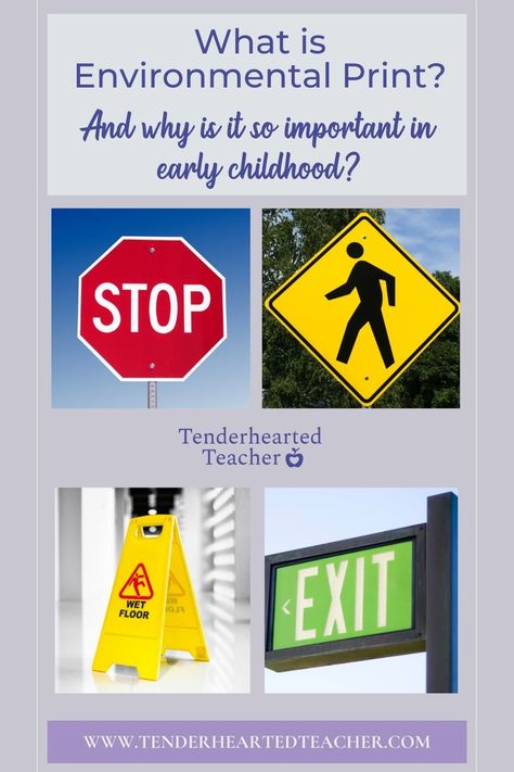 Environmental Print Activities, Early Childhood Educator, Environmental Print, Explorers Activities, Problem Statement, Preschool Literacy, Activities Games, Early Literacy, Toddler Learning