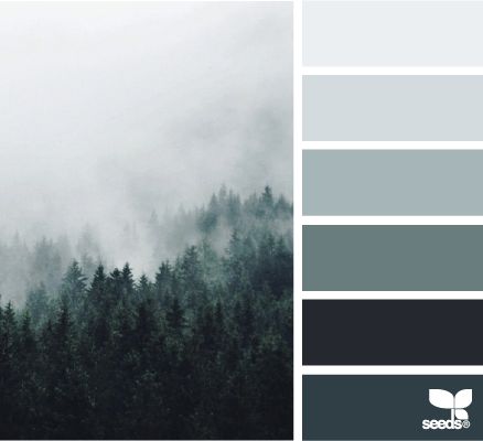 color fog | design seeds | Bloglovin Fog Images, Seeds Color, Foggy Forest, Design Seeds, The Fog, Living Room Colors, Paint Schemes, Green Design, Bedroom Colors