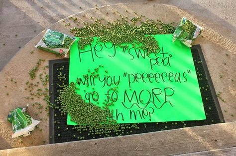 Dino Promposal, Dinosaur Promposal, Dinosaur Dance, Dance Asks, School Dance Ideas, Prom Posters, Dance Proposal, Dance Ideas, Prom Proposal