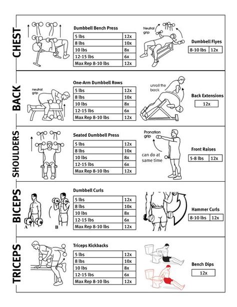 Here's a great upper body exercise routine to get you in shape! Upper Body Workout Plan, Bodyweight Upper Body Workout, Full Ab Workout, Full Upper Body Workout, Upper Body Workout Routine, Body Workout Routine, Weight Routine, Workout Plan For Men, Work Out Routines Gym