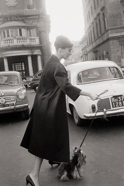 All the more reason why Audrey Hepburn was awesome, she had a yorkie also!! Audrey Hepburn Outfit, Sofia Loren, Edward Norton, Living In London, Audrey Hepburn Style, Fiat 600, Serge Gainsbourg, Woman Walking, Leopard Coat