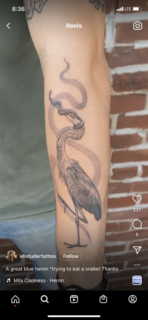 Heron Forearm Tattoo, Heron Back Tattoo, Heron Tattoo, Wrap Tattoo, Forearm Tattoo, Tattoo Idea, Back Tattoo, Tattoos And Piercings, Piercings