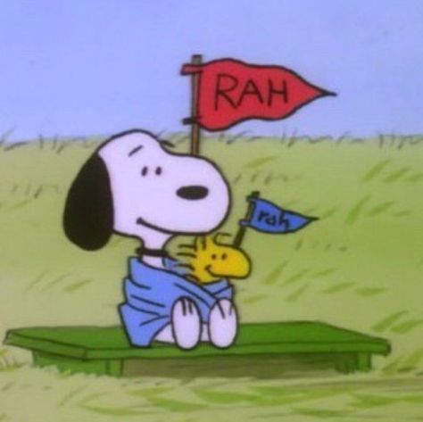 Woodstock Snoopy, Snoopy Cartoon, Snoopy Images, Snoopy Wallpaper, Snoopy Pictures, Joe Cool, Snoop Dog, Snoopy Love, Cowboy Bebop