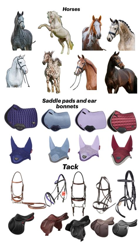 choose one equestrian edition Horse Tack Aesthetic, Horse Riding Gear, Equestrian Aesthetic, Horse Riding Clothes, Easy Paper Crafts Diy, Rodeo Outfits, Hobby Horse, Equine Art, Cute Horses