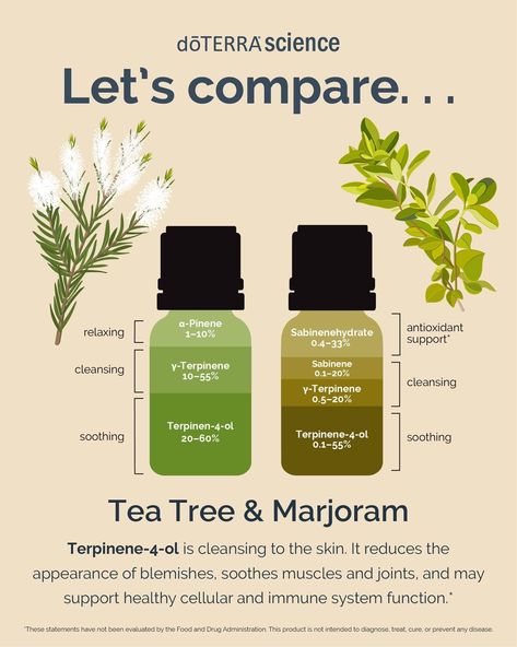 Marjoram Essential Oil, Doterra Oil, Natural Recipes, Essential Oils Guide, Tee Tree, Doterra Oils, Oil Uses, Essential Oil Uses, Marjoram