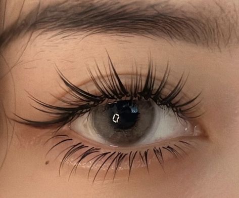 Beautiful Natural Eyelashes, Korean Siren Eyes, Beautiful Eyelashes Natural, Korean Makeup Eyelashes, Pretty Natural Eyelashes, Cat Eye Shape Natural, Thick Eyelashes Aesthetic, Eyelashes Extensions Aesthetic, Doe Eyes Eyelashes