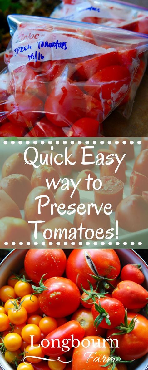 Garden Tomato Recipes, Preserve Tomatoes, Freezing Tomatoes, Tomatoes In Containers, Preserving Tomatoes, Freezing Vegetables, Food Preserving, Winter Veggies, Preserving Foods