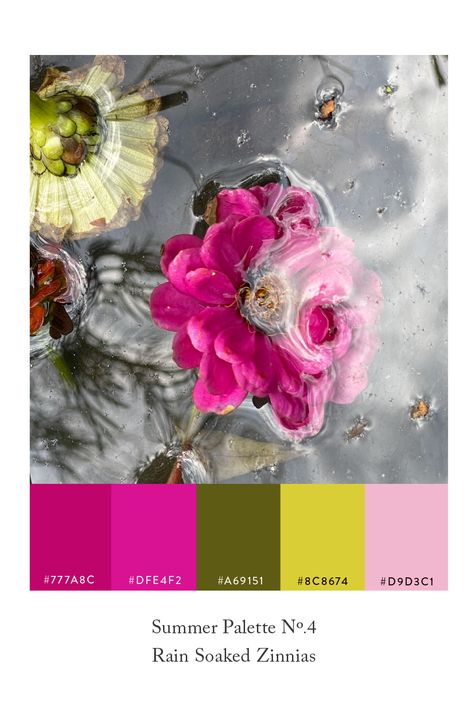 A summer colour palette of fuchsia pink and chartreuse inspired by zinnias. Colour inspiration inspired by summer botanicals. a yellow, pink and green palette. Fuchsia Colour Palette, Lavender And Chartreuse, Chartreuse Color Palette, Pool Cottage, Product Lifestyle Photography, Summer Colour Palette, Pink And Chartreuse, Jewel Tones Palette, Fuschia Wedding