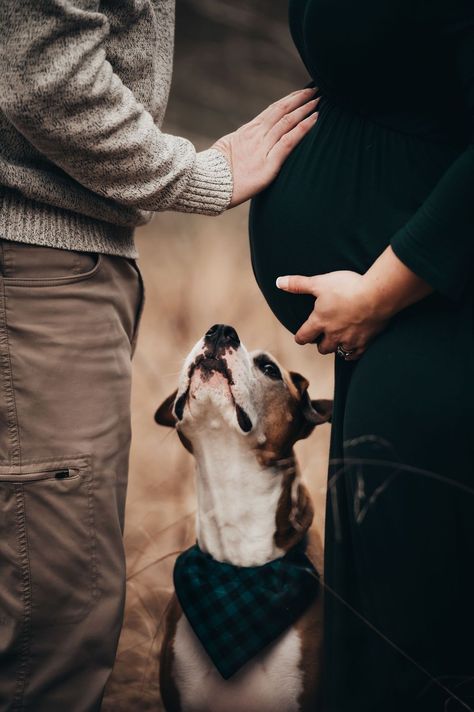 Dog And Maternity Photos, Diy Maternity Photos With Dog, Family Maternity Pictures With Dog, Maternity Photo Shoot Ideas Outdoor With Dog, Fall Pregnancy Photoshoot With Dog, Husband And Wife Maternity Shoot, Fit And Pregnant, Maternity Photos With Dogs Ideas, Maternity Photo Shoot Ideas Dog