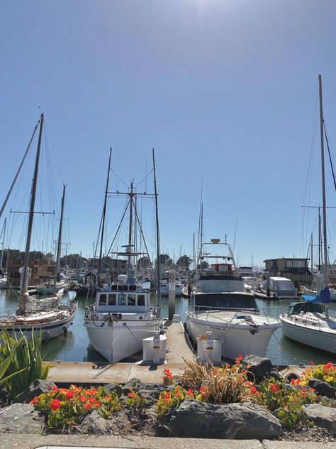 Marina California, Summer Boating, Dream Life Goals, Midwest Region, City By The Sea, Berkeley California, California Summer, Spring Trip, Bay City