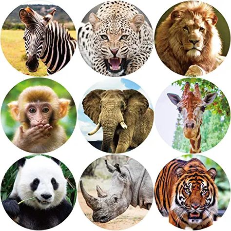 Stickers For Boys, Girl Birthday Party Favors, Animals Stickers, Animal Jungle, Kids Toy Shop, Kids Zoo, Stickers For Kids, Animal Birthday Party, Zoo Animal