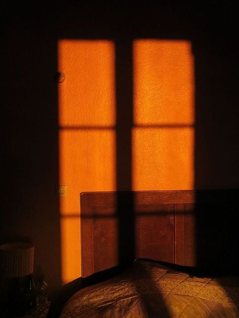 Orange Aesthetic, Aesthetic Colors, Colour Board, Brown Aesthetic, Aesthetic Vintage, Green Aesthetic, Light Orange, Aesthetic Photo, The Window