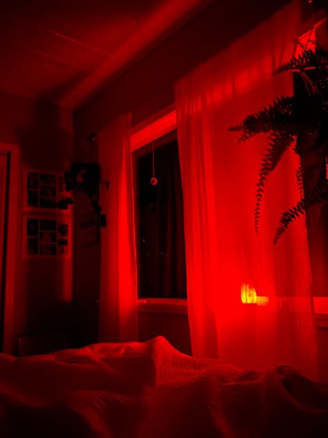 #saltlamp #ferns #plants #arthoe #plantmom #teenroom #roomdecor #aesthetic #aestheticroom #red #night #redlight #redlighttherapy #grunge #boho #lifestyle #artsy Bed Red Led, Red Room Lights Aesthetic, Red Lights Bed, Red Light Bed, Red Themed Room Aesthetic, Red Light Bedroom Aesthetic, Red Light Aesthetic Room, Red Led Room Aesthetic, Bedroom Red Aesthetic