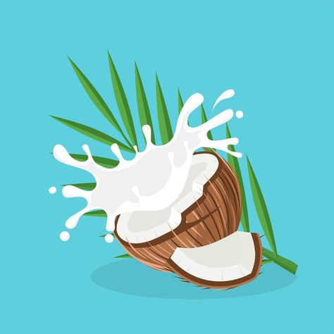 Coconut Sticker, Coconut Illustration, World Coconut Day, Coconut Vector, Milk Splash, Open Image, Sticker Poster, Perfect Image, Adobe Stock