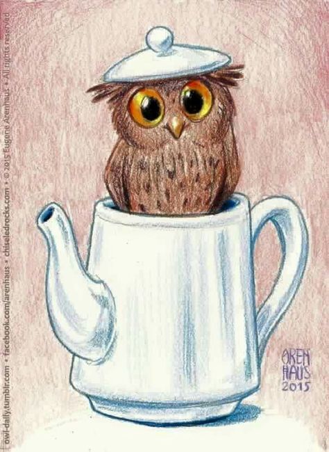 Owl Drawing Birds, Owl Art Print, Owl Coffee, Coffee Cup Art, Funny Pictures With Captions, Hoot Owl, Owl Pictures, It's Monday, Owl Patterns