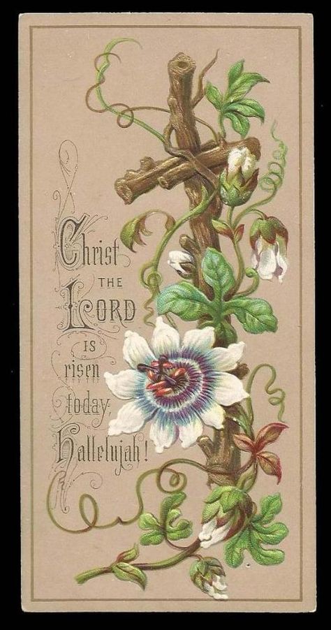 H14 - VICTORIAN RELIGIOUS CARD - EMBOSSED CROSS AND PASSION FLOWER Christian Ephemera, He Is Risen Indeed, Vintage Holy Cards, Children Praying, Resurrection Day, Resurrection Sunday, Easter Printables Free, Pentecost, Easter Art