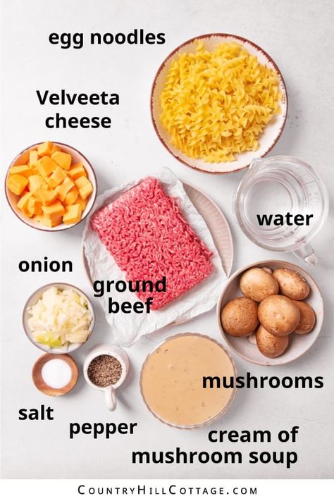 Hamburger And Velveeta Recipes, Ground Beef Velveeta Recipes, Velveeta Pasta, Hamburger Hotdish, Velveeta Recipes, Egg Noodle Recipes, Beef Stroganoff Easy, Ground Beef Pasta, Beef Pasta