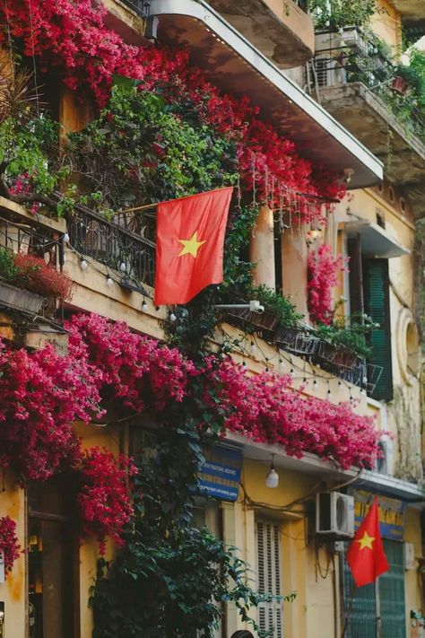 Vietnam Flag Aesthetic, Vietnam Scenery, Vietnam Aesthetic, Chill House, Vietnam Flag, Vietnam Art, Hanoi, Beautiful Photo, Background Images