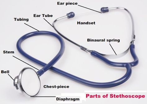 Parts of Stethoscope Sphygmomanometer Parts, Anesthesia School, Stethoscope Parts, Nursing Student Quotes, Kidney Anatomy, Emt Study, Student Quotes, Ear Tubes, Biology Diagrams