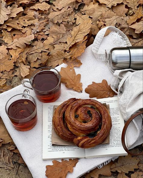 Fall Boards, Fall Picnic, Fall Mood Board, Autumn In New York, Tea And Books, Autumn Magic, Pumpkin Spice Season, Fall Inspo, Fall Feels