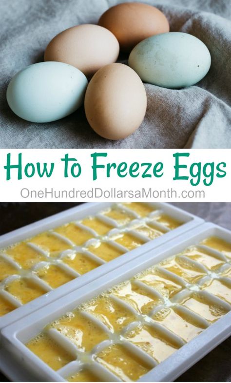 How to Freeze Eggs - One Hundred Dollars a Month How To Freeze Eggs, Freezing Food Guide, Freeze Eggs, Freezing Vegetables, Freezing Eggs, Canned Food Storage, Freezer Meal Prep, Dehydrated Food, Frozen Veggies