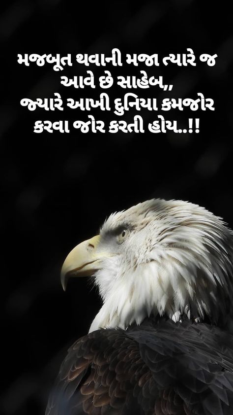 Gujarati Attitude Shayari, ગુજરાતી સુવિચાર, Antique Quotes, Deep Quotes That Make You Think, Gujju Quotes, Gujarati Thoughts, Shayari Attitude, Morning Prayer Quotes, Attitude Shayari