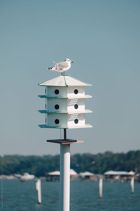 A birdhouse in Fairhope, Alabama built to attract mosquito eating birds to help reduce the city's need for pesticide in the community park. Fairhope Alabama, Community Park, A Park, Pesticides, Birdhouse, The Community, Bird Houses, Wind Turbine, Bird House