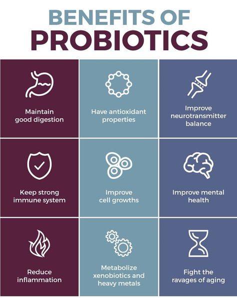 Do you ever wonder what are the health benefits of probiotics? Find here: #Probiotics #ProbioticsBenefits #Healthbenefits #Naturalhealth #Enjoynaturalhealth #ThursdayThrowback #Digestive #Immune #Supplements #Healthyfood Benefits Of Probiotics, Prebiotic Foods, Probiotic Benefits, Best Probiotic, Probiotics Supplement, Adrenal Fatigue, Beneficial Bacteria, Healthy Aging, Immune Health