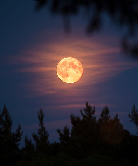 Tonight’s Full Blood Moon In Aries Brings Passion, Impatience & Independence #refinery29 https://www.refinery29.com/en-us/2021/10/10719540/when-is-full-moon-in-aries-october-2021-meaning-blood-moon Full Moon Ritual, Virgo Moon, The Moon Is Beautiful, Look At The Moon, Moon Pictures, Moon River, Moon Photography, Super Moon, Lunar Eclipse