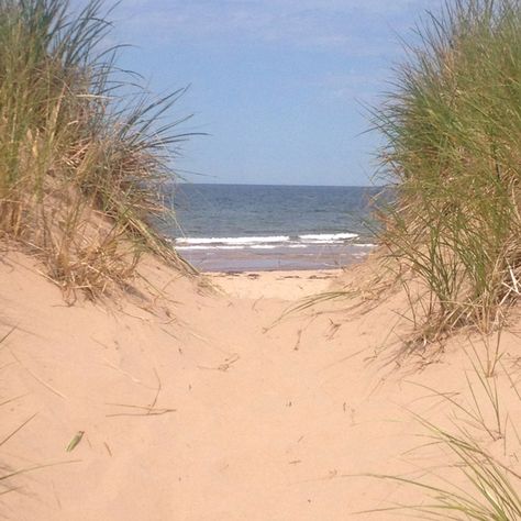 Lakeside Beach, PEI.....my happy place Pei Beaches, Lakeside Beach, Book Vibes, Fav Place, Fields Of Gold, Prince Edward Island, Prince Edward, Low Country, 2024 Vision