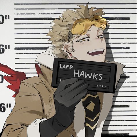 Hawk Pictures, Hawk Bird, Hes Mine, My Hero Academia Episodes, Hero Academia Characters, My Hero Academia Manga, Funny Anime Pics, Hawks