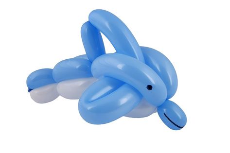 Balloon dolphin sculpture isolated on white Balloon Dolphin, Dolphin Sculpture, Balloon Animals, Dolphins, Balloons, Sculpture, Animals, White