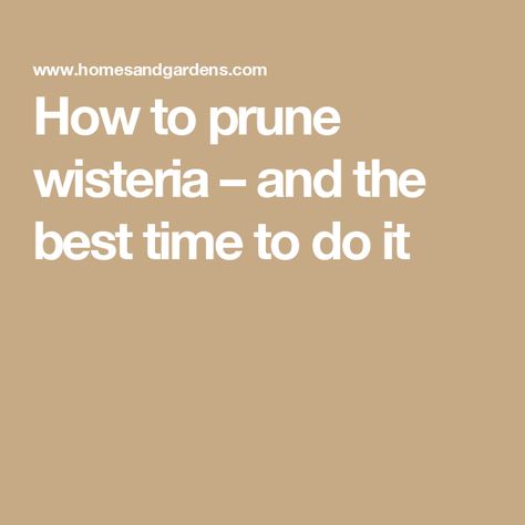 How to prune wisteria – and the best time to do it Pruning Wisteria Vines, Wisteria How To Grow, Wisteria Plant, Plant Structure, Period Living, Trees And Shrubs, House And Home Magazine, Healthy Plants, Beautiful Blooms