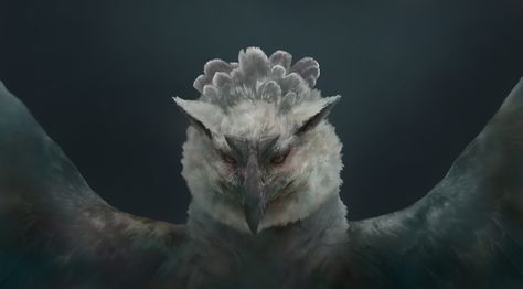 ArtStation - Harpy Griffin, Casey Cheng Harpy Aesthetic, Griffin Oc, Warden Cousland, Griffin Aesthetic, Owl Woman, Arcane Trickster, Fantasy High, The Sorcerer's Apprentice, Dragon's Dogma