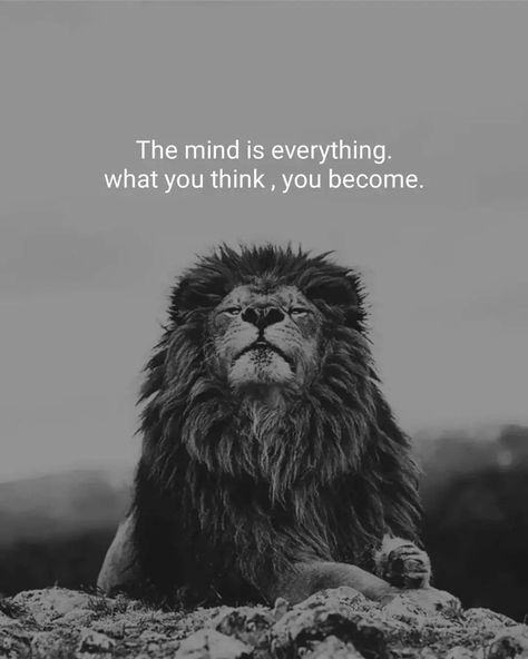 Lion Mentality, Lioness Quotes, Monkey Wall Art, Gangster Quotes, Inspirational Life Lessons, Lion Quotes, Lion Love, Strong Mind Quotes, Amazing Inspirational Quotes