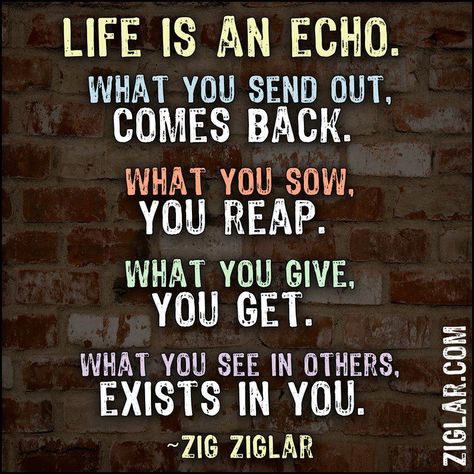 What you give out in slices, comes back in loaves! Life Is An Echo, Zig Ziglar Quotes, Inspirational Quotes For Teens, Zig Ziglar, Quotable Quotes, The Words, Great Quotes, Inspirational Words, Cool Words