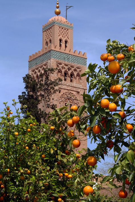 Morocco Aesthetic, Moroccan Aesthetic, Mediterranean Aesthetic, Moroccan Inspiration, Muslim Culture, Marrakech Travel, Moroccan Culture, Beautiful Mosques, Morocco Travel