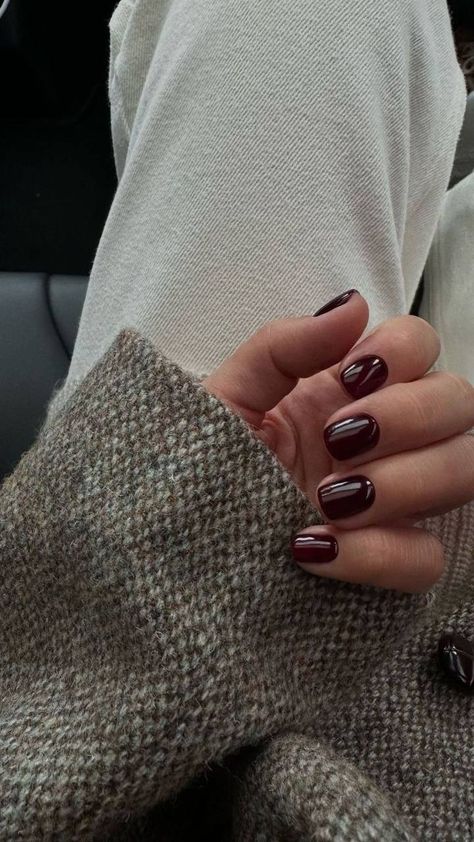 Fall Color Manicure, Winter Chic Nails, Fall Acrylic Nail Designs Autumn, Short Autumn Nails 2024, Fall Nails One Color, Short Dip Nails Fall, Call Nail Ideas, 2024 Autumn Nails, Acrylic Fall Nails Ideas