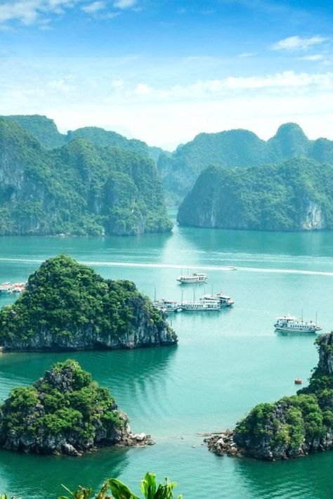 Southeast Asia is an adventure traveler's dream destination. Vietnam Voyage, Ha Long, Halong Bay, Countries To Visit, Palawan, Destin Beach, Future Travel, Vietnam Travel, Cebu